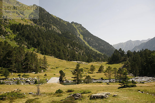 Brücke über Wildbach  Landschaft in den Pyrenäen  französische Pyrenäen  Nationalpark bei ArgelËs-Gazost  Region Midi-PyrÈnÈes  DÈpartement Hautes-PyrÈnÈes  Frankreich  Europa