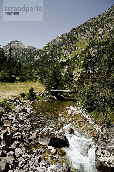 Brücke über Wildbach  Landschaft in den Pyrenäen  französische Pyrenäen  Nationalpark bei ArgelËs-Gazost  Region Midi-PyrÈnÈes  DÈpartement Hautes-PyrÈnÈes  Frankreich  Europa