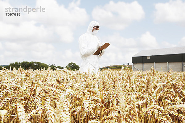 Wissenschaftlerin untersucht Getreide im Ackerbau