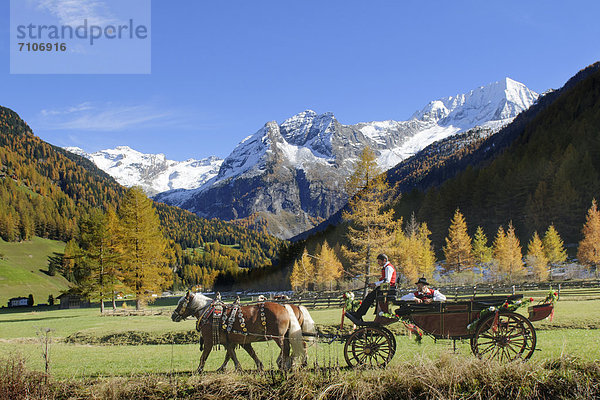 Kutsche im Naturpark Rieserferner Ahrn  Südtirol  Italien