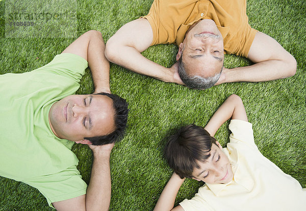 liegend  liegen  liegt  liegendes  liegender  liegende  daliegen  Menschlicher Vater  Sohn  Gras