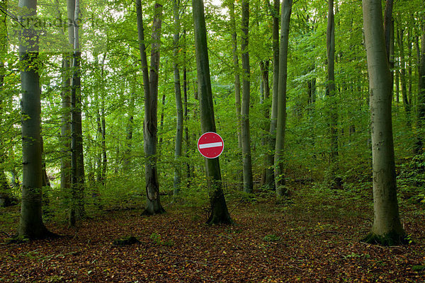 Kein Einfahrtsschild im Wald