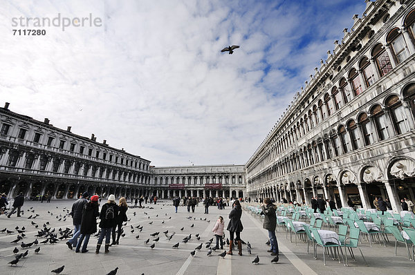 Tauben auf dem Markusplatz  Prokuratien  San Marco  Venedig  Venezia  Venetien  Italien  Europa
