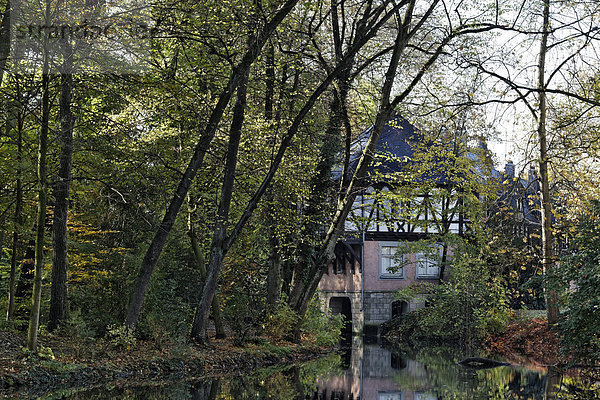 Europa Wohnhaus Boot Düsseldorf Deutschland Nordrhein-Westfalen alt Teich Romantik Nordrhein-Westfalen