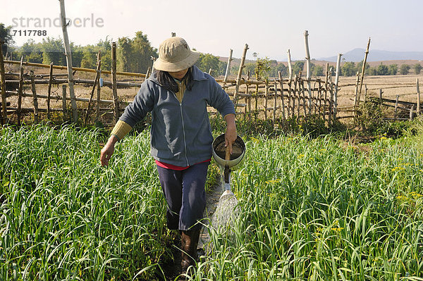 Frau gießt ihren Gemüsegarten mit einer Gießkanne  die aus ehemaliger Munition angefertigt wurde  in Phonsavan  Laos  Südostasien  Asien