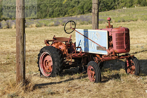 Traktor eines Lavendelbauern  Sault  Apt  Region Provence  DÈpartement Vaucluse  Frankreich  Europa