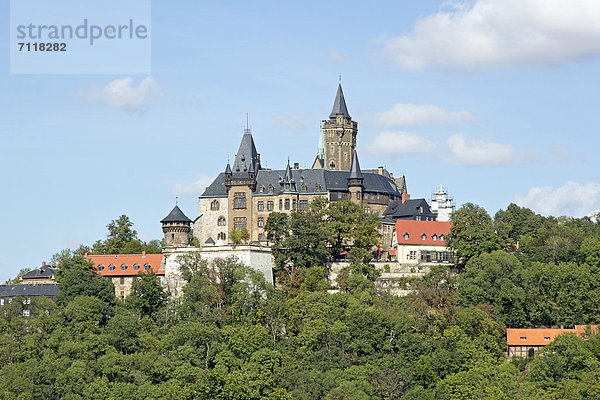 Schloss  Wernigerode  Sachsen-Anhalt  Deutschland  Europa