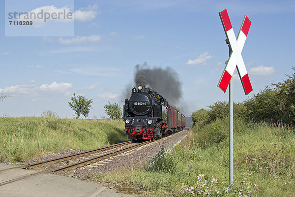 Dampfzug der Selketalbahn bei Quarmbeck  Harz  Sachsen-Anhalt  Deutschland  Europa