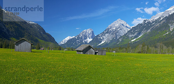 Scheunen auf einer Wiese vor dem Wettersteingebirge  Leutasch  Tirol  Österreich