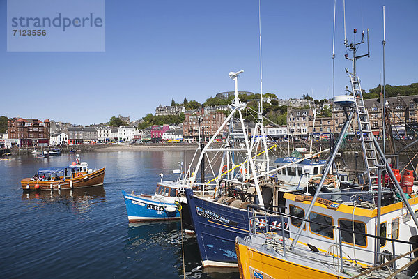 Hafen  Europa  Urlaub  Großbritannien  Küste  Reise  Meer  verschiffen  Argyll  Fischerboot  Schottland  Tourismus