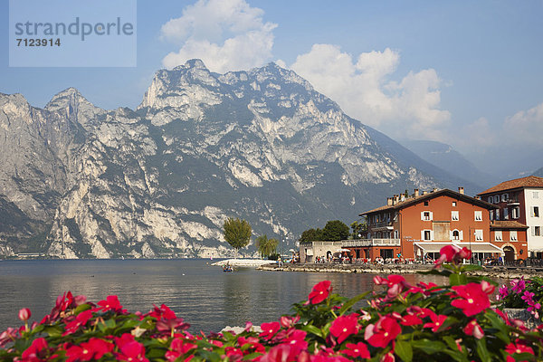 Europa  Urlaub  Reise  See  Alpen  Italien  Gardasee  Torbole  Tourismus