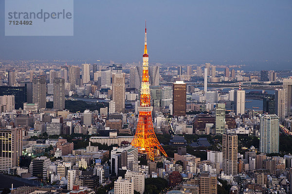 Skyline  Skylines  beleuchtet  Urlaub  Abend  Nacht  Reise  Großstadt  Tokyo  Hauptstadt  Turm  Ansicht  Roppongi  Luftbild  Fernsehantenne  Asien  Abenddämmerung  Japan  Tourismus