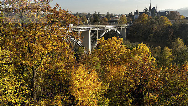 Baum gelb Stadt Brücke Herbst Laub Städtisches Motiv Städtische Motive Straßenszene Bern Kanton Bern Schweiz