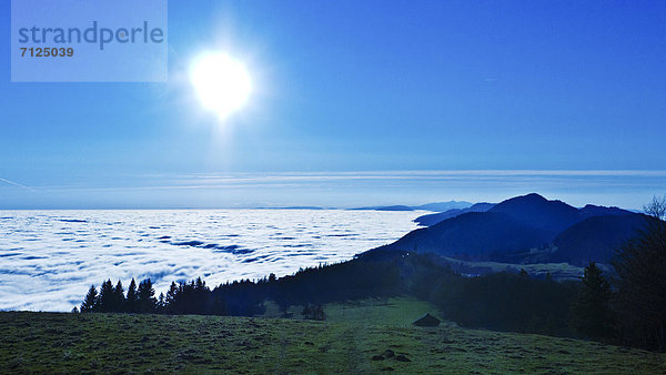 blauer Himmel wolkenloser Himmel wolkenlos Skyline Skylines Sonnenstrahl Baum Planetologie Horizont Dunst Holz Herbst Sonnenlicht Wiese blau Berglandschaft Weide Weideland Kanton Solothurn Sonne Schweiz Nebelmeer