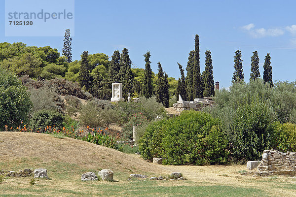 Athen  Hauptstadt  Landschaftlich schön  landschaftlich reizvoll  Sehenswürdigkeit  Europa  Berg  Stein  Wand  Blume  Baum  Geschichte  Pflanze  Ruine  Museum  Attika  Baugrube  Griechenland  Tourismus