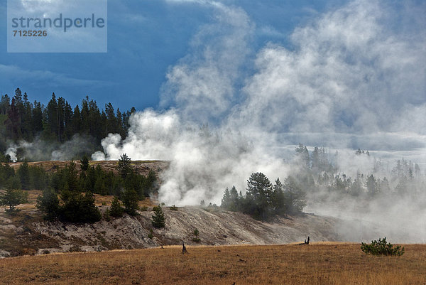 Vereinigte Staaten von Amerika  USA  Nationalpark  Amerika  Geysir  Heiße Quelle  Natur  Yellowstone Nationalpark  Wyoming