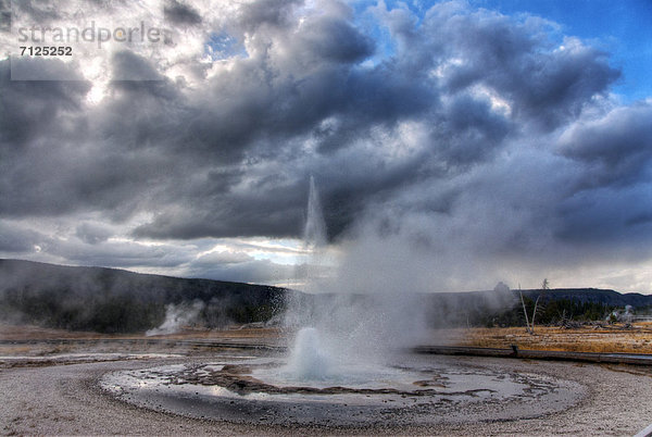 Vereinigte Staaten von Amerika  USA  Nationalpark  Amerika  Geysir  Heiße Quelle  Natur  Yellowstone Nationalpark  Wyoming