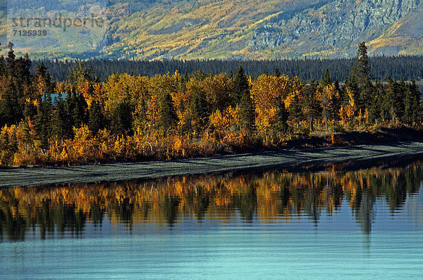 Landschaft  See  Natur  Kluane Nationalpark  Kanada  Yukon