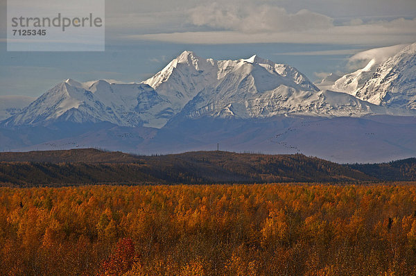 Vereinigte Staaten von Amerika  USA  Farbaufnahme  Farbe  Amerika  Landschaft  Natur  Alaskakette  Alaska Range  Alaska