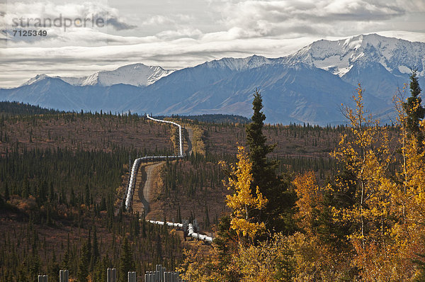 Vereinigte Staaten von Amerika  USA  Energie  energiegeladen  Amerika  Stadtplanung  Alaska  Öl  Pipeline