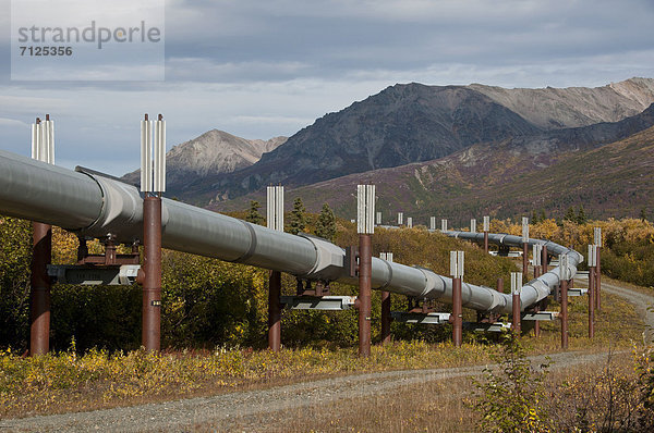 Vereinigte Staaten von Amerika  USA  Energie  energiegeladen  Amerika  Stadtplanung  Alaska  Öl  Pipeline