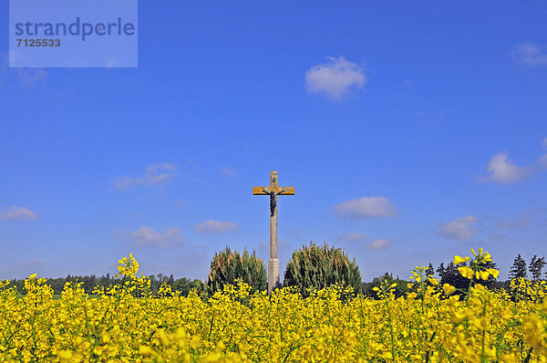 überqueren  Europa  Religion  Figur  Feld  Christ  Kreuz  Deutschland