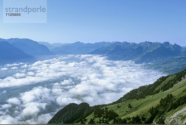 Landschaftlich schön landschaftlich reizvoll Europa Berg Wolke Rheintal Schweiz