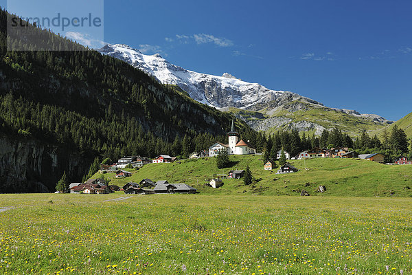 Blumenwiese Europa Dorf Klausenpass Schweiz