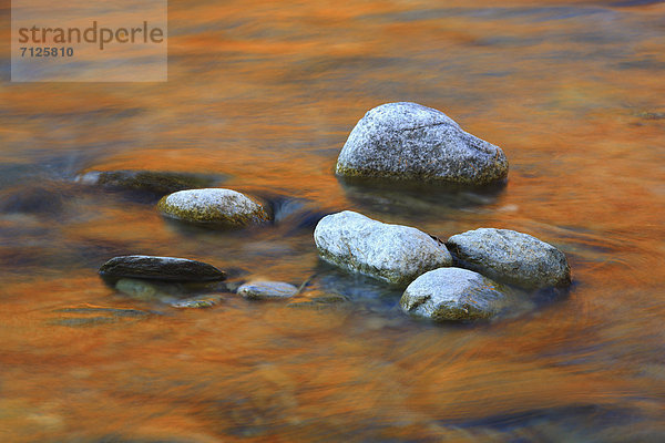 Flußbett  Farbaufnahme  Farbe  Wasser  Fortbewegung  Stein  Konzept  Spiegelung  fließen  Abstraktion  Fluss  Herbst  Bach  rot  Westalpen  Schweiz