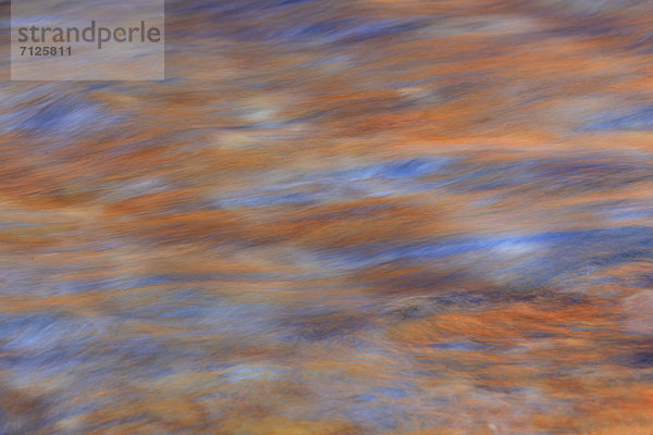 Flußbett  Farbaufnahme  Farbe  Wasser  Fortbewegung  Stein  Konzept  Spiegelung  fließen  Abstraktion  Fluss  Herbst  Bach  rot  Westalpen  Schweiz