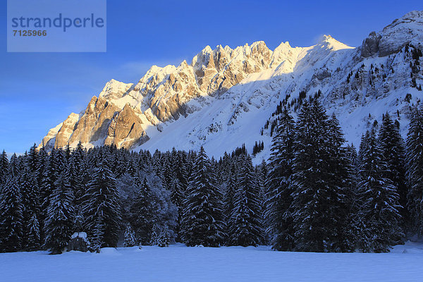 Kälte blauer Himmel wolkenloser Himmel wolkenlos Panorama Europa Schneedecke Berg Winter Sonnenstrahl Abend Sonnenuntergang Beleuchtung Licht Himmel Schnee Wald Holz Alpen blau Ansicht Sonnenlicht Abenddämmerung Tanne Alpenglühen Sonne Schweiz Bergpanorama