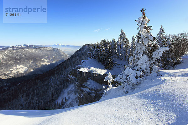 Kälte  blauer Himmel  wolkenloser Himmel  wolkenlos  Panorama  Europa  Schneedecke  Winter  Baum  Steilküste  Schnee  Eis  Nebel  Ansicht  Tanne  schweizerisch  Schweiz