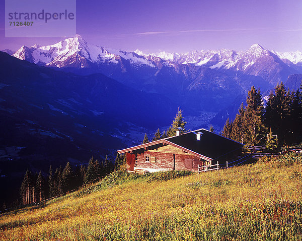 Panorama  Landschaftlich schön  landschaftlich reizvoll  Europa  Berg  Urlaub  Blume  Natur  Wiese  Österreich  Schnee  Tirol  Zillertal