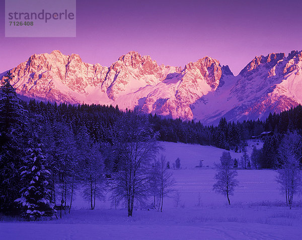 Landschaftlich schön  landschaftlich reizvoll  Europa  Berg  Winter  Morgen  Baum  rot  Morgendämmerung  Österreich  Stimmung  Schnee  Tirol