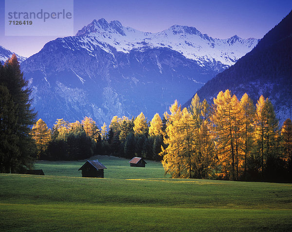 Landschaftlich schön  landschaftlich reizvoll  Europa  Berg  Abend  Herbst  Österreich  Lechtaler Alpen  Tirol