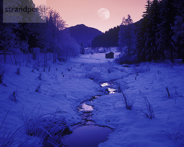 Kälte  Wasser  Europa  Winter  Abend  Baum  Himmel  blau  Mond  Österreich  Schnee  Tirol