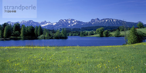 Panorama  Europa  Berg  Sommer  Baum  Alpen  Wiese  Vorgebirge  Bayern  Deutschland  Nesselwang  Schwaltenweiher