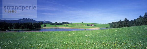 Panorama Landschaftlich schön landschaftlich reizvoll Wasser Europa Bauernhof Hof Höfe Wald Holz Alpen Wiese Vorgebirge Bayern Deutschland Nesselwang