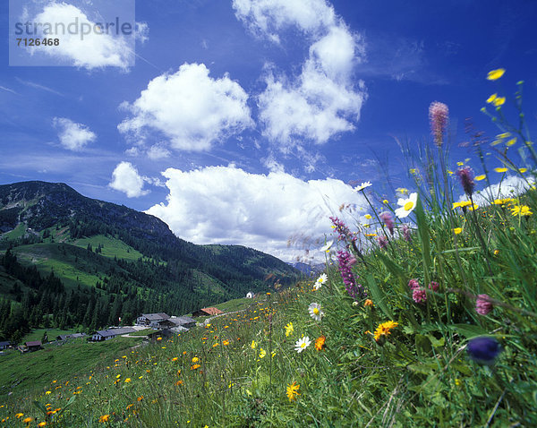 Europa  Wolke  Blume  Himmel  Landschaft  Wiese  Österreich  Kapelle  Thiersee  Tirol