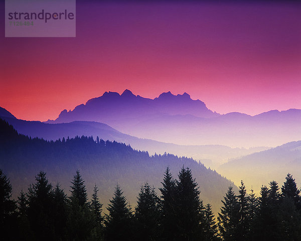 Landschaftlich schön landschaftlich reizvoll Europa Berg Morgendämmerung Wald Natur Holz Fichte Österreich Loferer Steinberge Stimmung Tirol Morgenstimmung