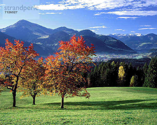Kirschbaum  Kirsche  Landschaftlich schön  landschaftlich reizvoll  Europa  Berg  Wolke  Baum  Himmel  Reise  Natur  Dorf  Herbst  Wiese  Österreich  Idylle  Stimmung  Platz  Tirol