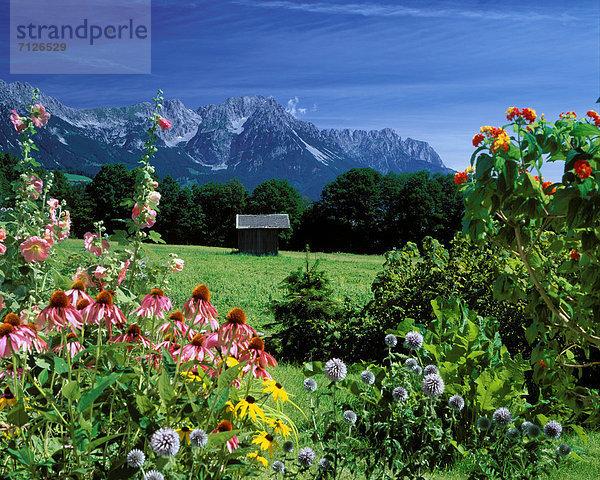Landschaftlich schön  landschaftlich reizvoll  Europa  Berg  Sommer  Himmel  Reise  Natur  Dorf  Österreich  Idylle  Platz  Sommerurlaub  Tirol