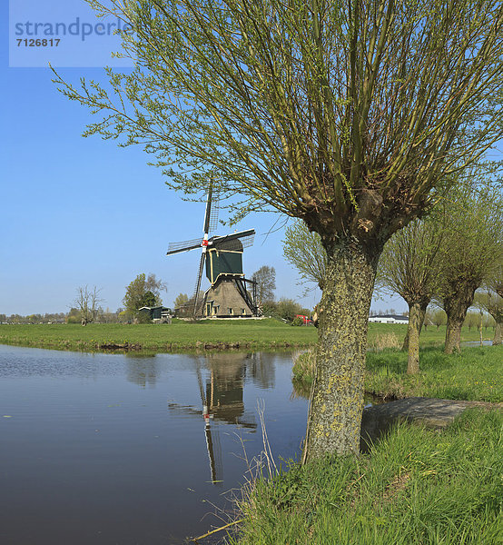 Windturbine  Windrad  Windräder  Wasser  Europa  Baum  Niederlande