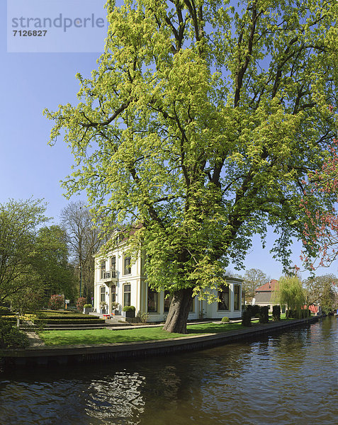 Wasser Europa Wohnhaus Baum Niederlande