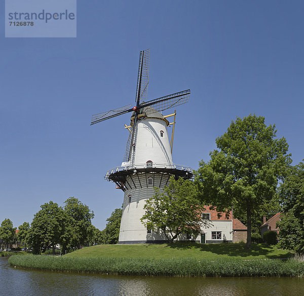 Windturbine  Windrad  Windräder  Wasser  Europa  Sommer  Baum  Niederlande  Hoffnung  Middelburg  Turmwindmühle