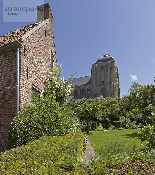 Europa  Blume  Sommer  Kirche  Garten  Niederlande  Basilika  Kloster  Veere