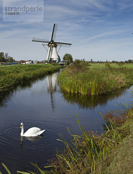Windturbine  Windrad  Windräder  Wasser  Europa  Sommer  Feld  Wiese  Niederlande  Schwan