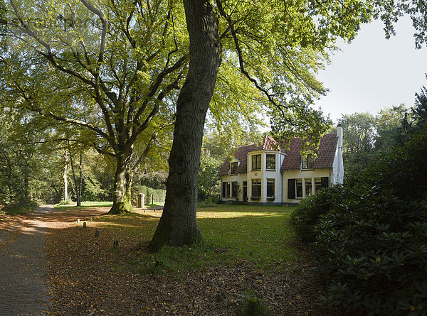 Europa Wohnhaus Baum Wald Holz Herbst Niederlande