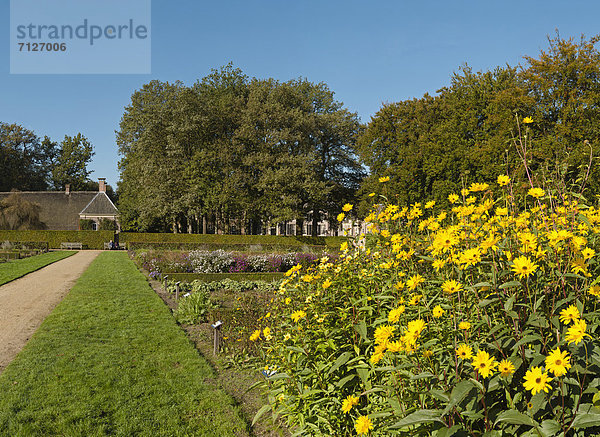 Europa  Blume  Baum  Landschaft  Herbst  Kräutergarten  Niederlande