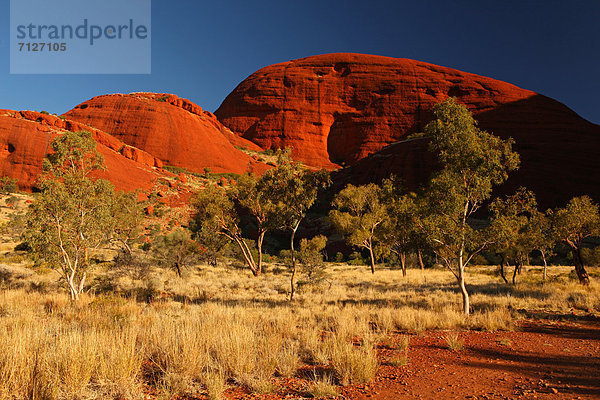 Landschaftlich schön  landschaftlich reizvoll  Olgas  Kata Tjuta  Weg  Einsamkeit  Australien  Wanderweg  Northern Territory  Rotes Kliff
